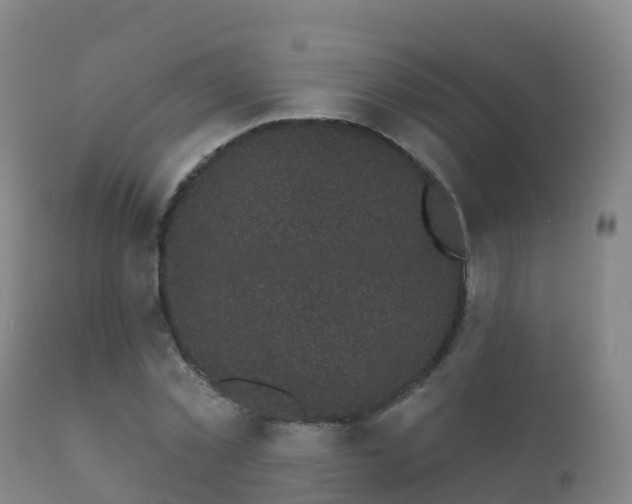 X0000112360781200908201502