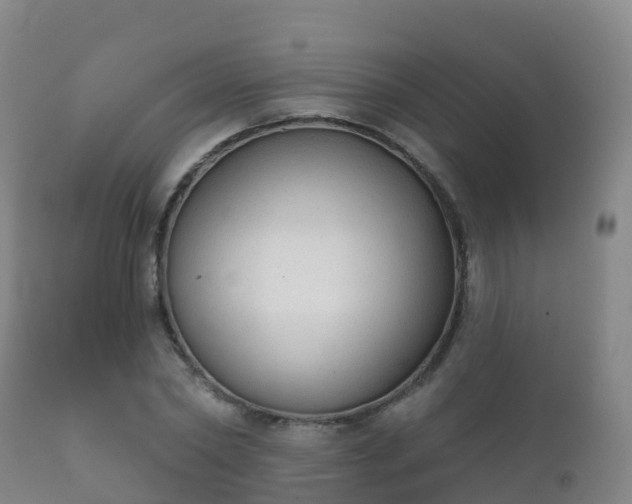 X0000112360782200908201502