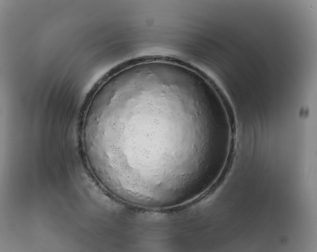 X0000112360783200908201502