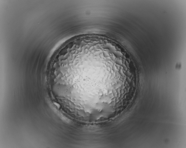 X0000112360784200908201502