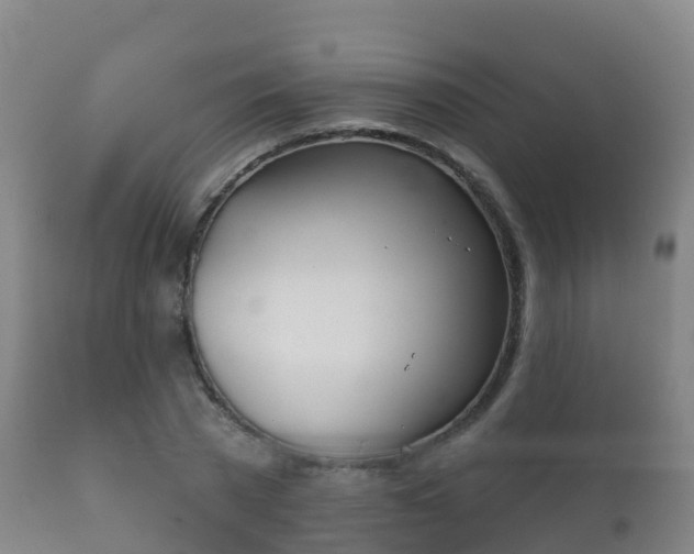 X0000112360785200908201502