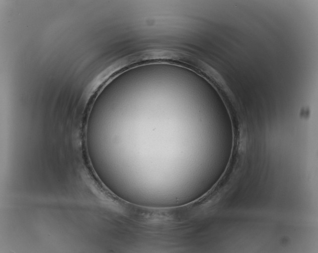 X0000112360786200908201502