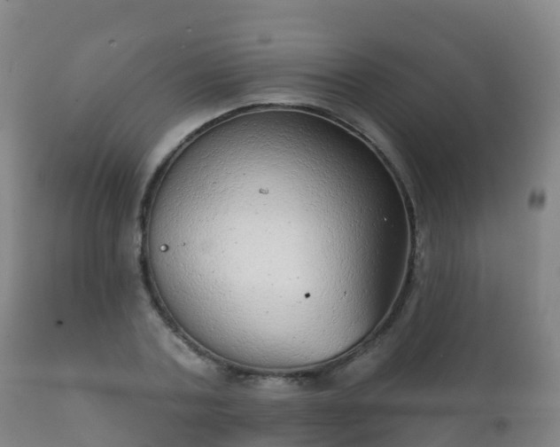 X0000112360787200908201502