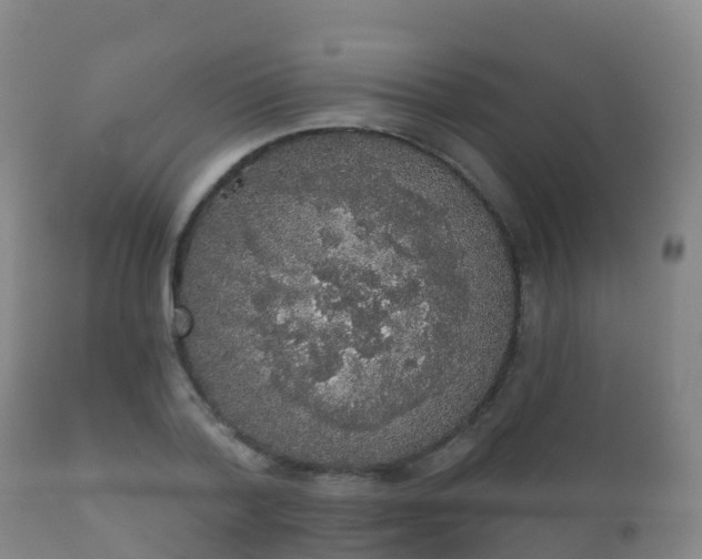 X0000112360788200908201502