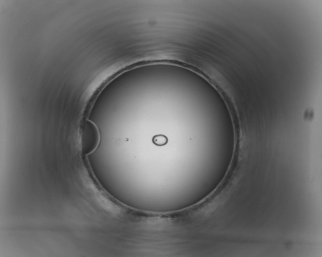 X0000112360789200908201502