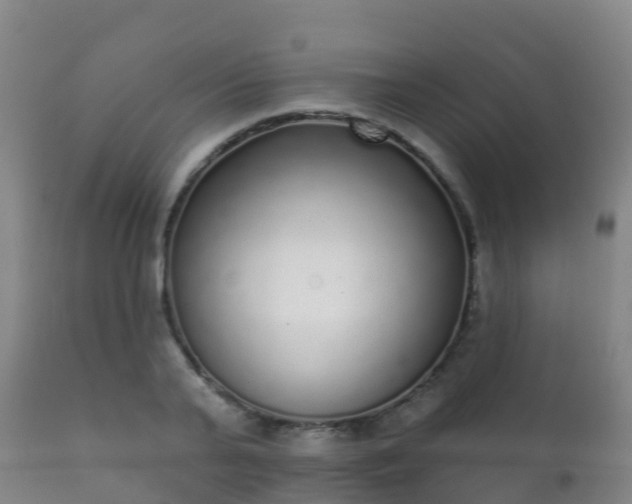 X0000112360791200908201502