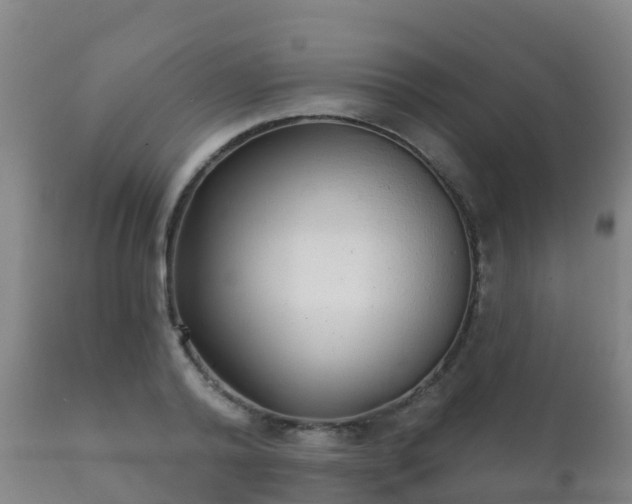 X0000112360792200908201502