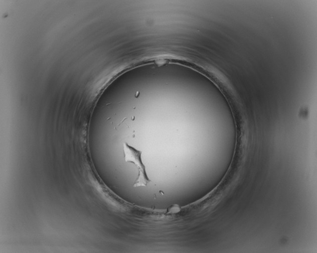 X0000112360793200908201502