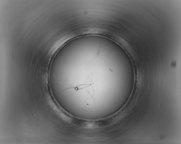 X0000112360794200908201502