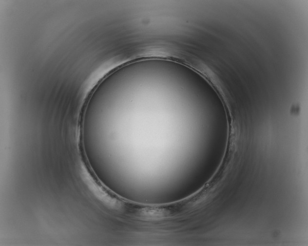 X0000112360795200908201502