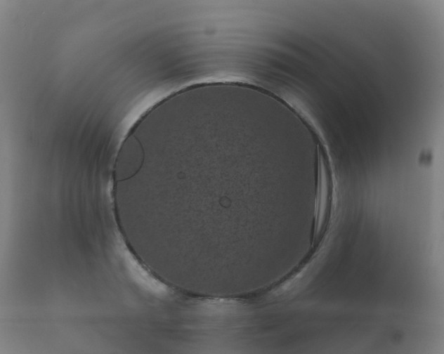 X0000112360797200908201502