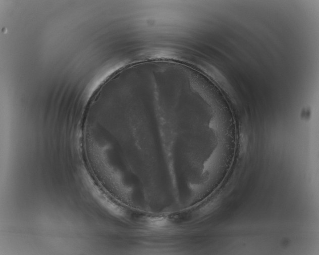 X0000112360798200908201502