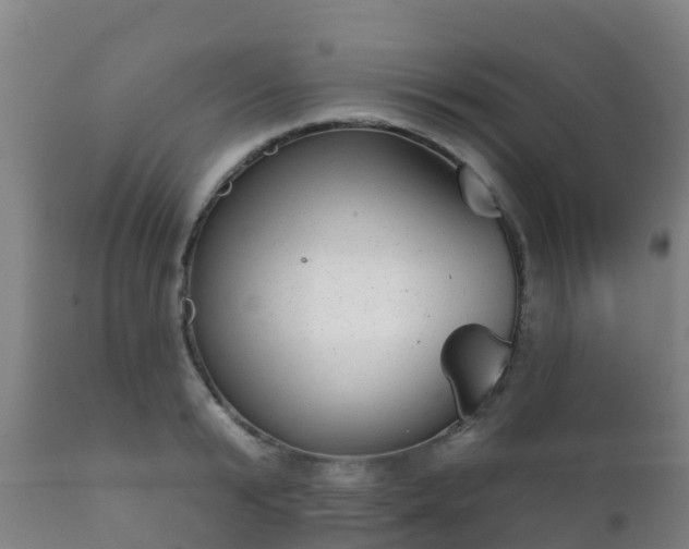 X0000112360799200908201502