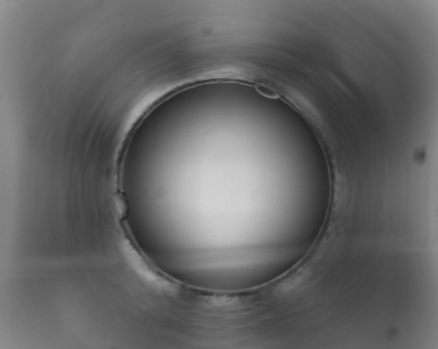 X0000112360800200908201502