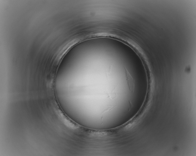 X0000112360801200908201502