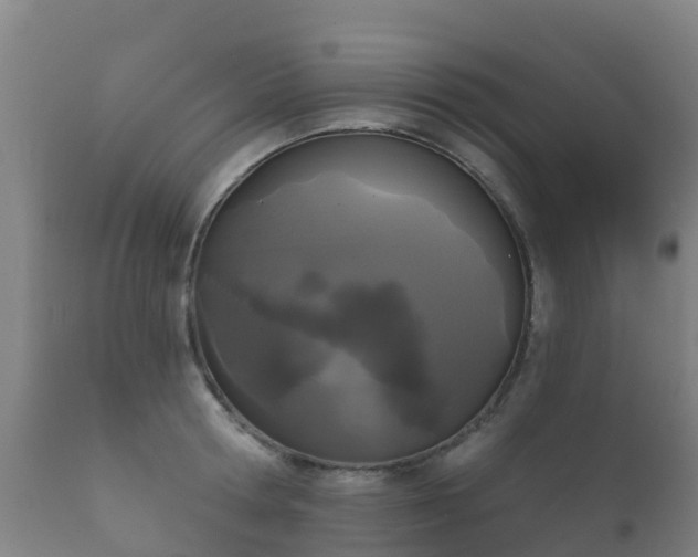 X0000112360802200908201502