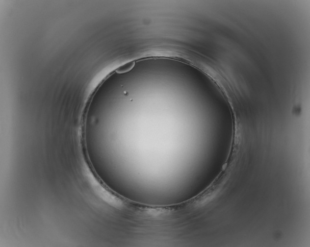 X0000112360803200908201502