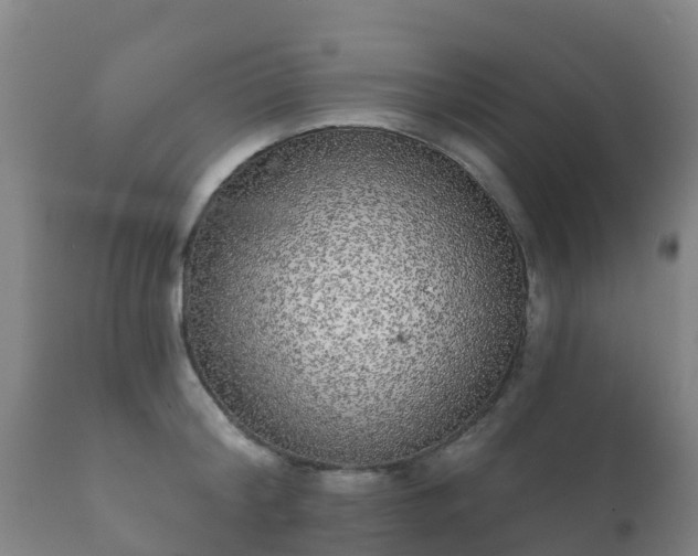 X0000112360804200908201502