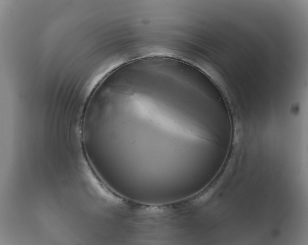 X0000112360806200908201501