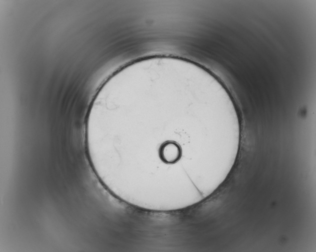 X0000112360807200908201501