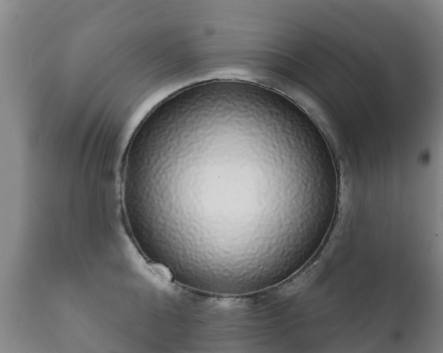 X0000112360808200908201501