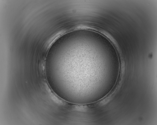 X0000112360809200908201501