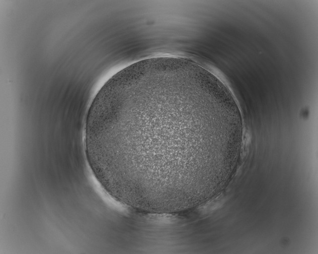 X0000112360811200908201501