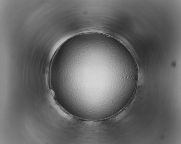 X0000112360812200908201501