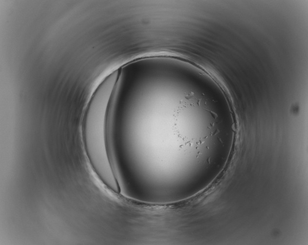 X0000112360813200908201501