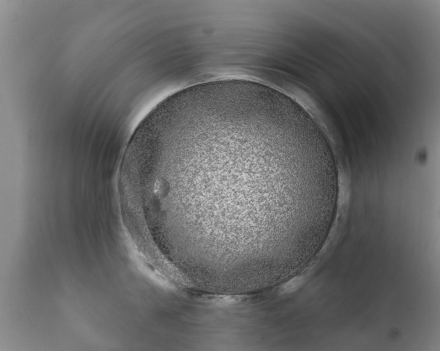 X0000112360814200908201501