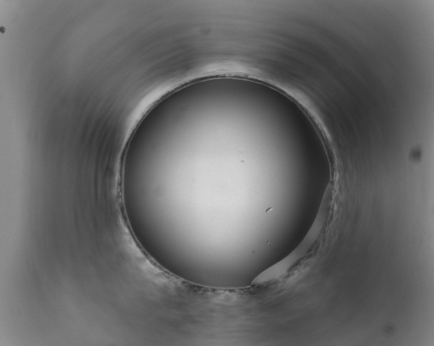 X0000112360815200908201501