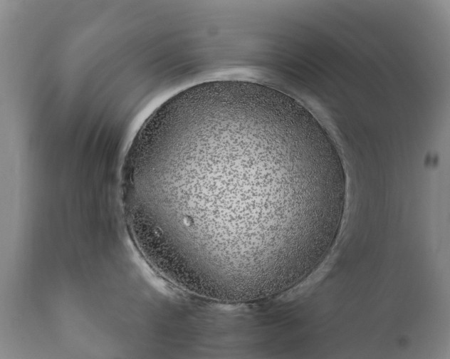 X0000112360816200908201501