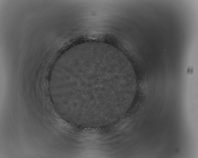 X0000112360817200908201501