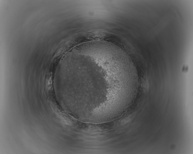 X0000112360818200908201501