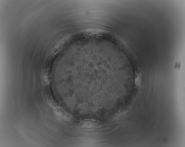 X0000112360819200908201501