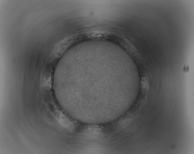 X0000112360820200908201501