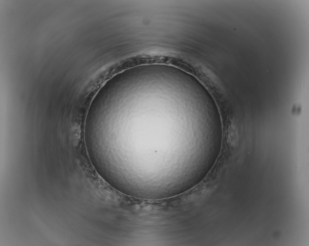 X0000112360821200908201501