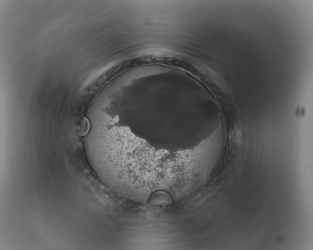 X0000112360822200908201501