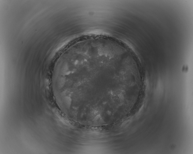 X0000112360823200908201501