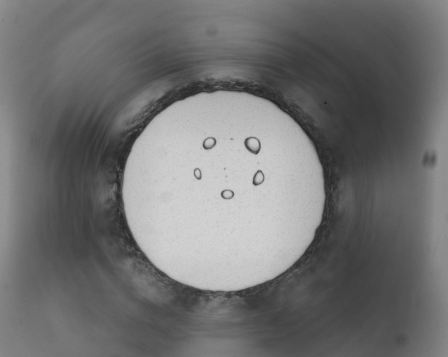 X0000112360824200908201501