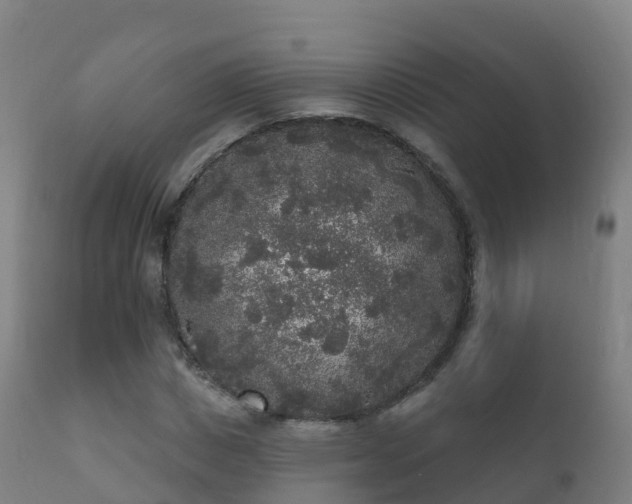 X0000112360825200908201501