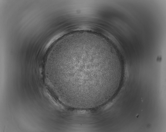 X0000112360826200908201501