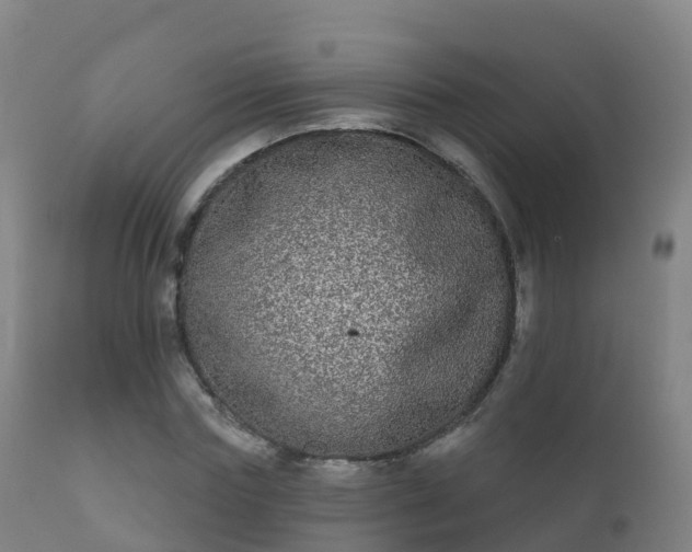 X0000112360827200908201501