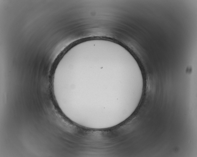 X0000112360828200908201501