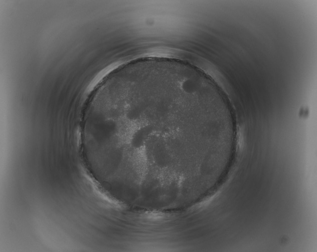 X0000112360829200908201501