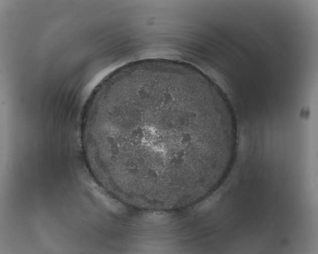 X0000112360830200908201501