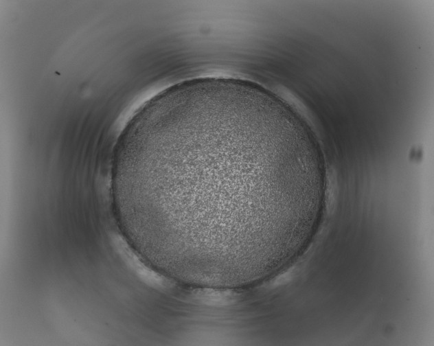 X0000112360831200908201501