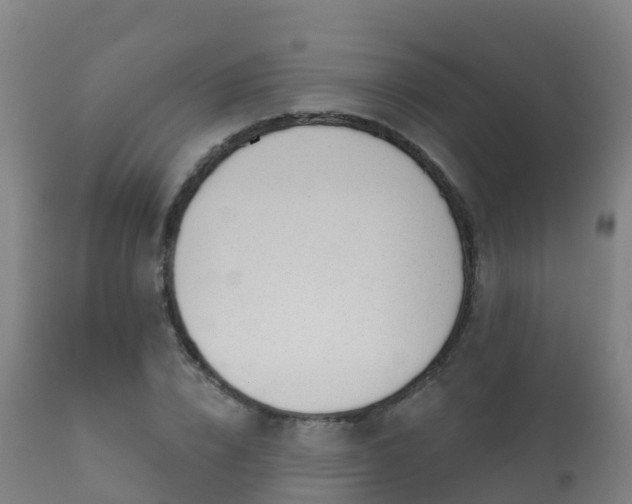 X0000112360832200908201501