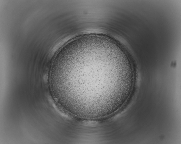 X0000112360833200908201501