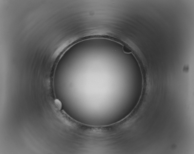 X0000112360834200908201501